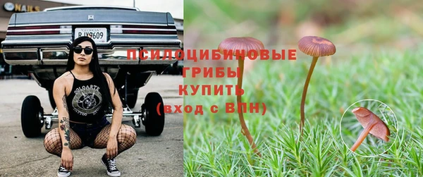 спиды Арсеньев